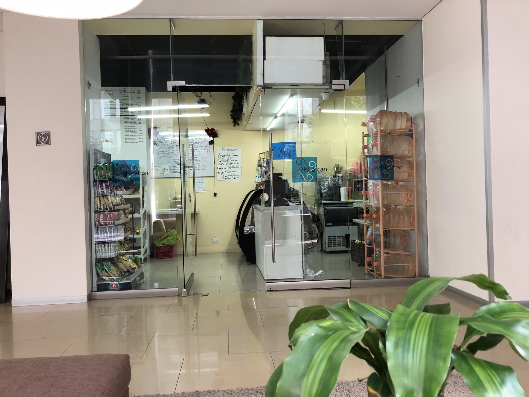 Boutique Apartment Pbk メキシコシティ エクステリア 写真
